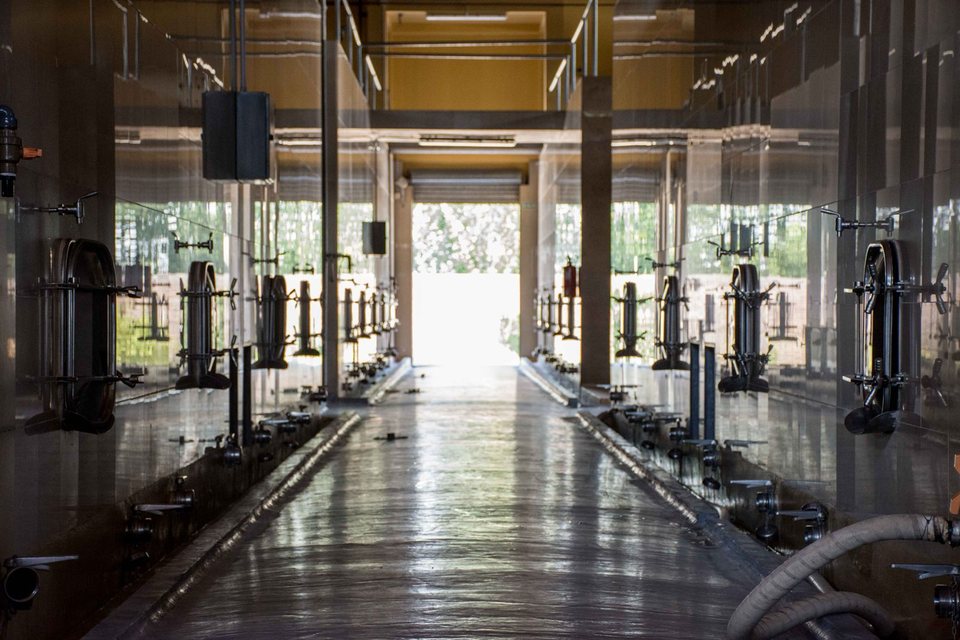 The winery’s tank hall