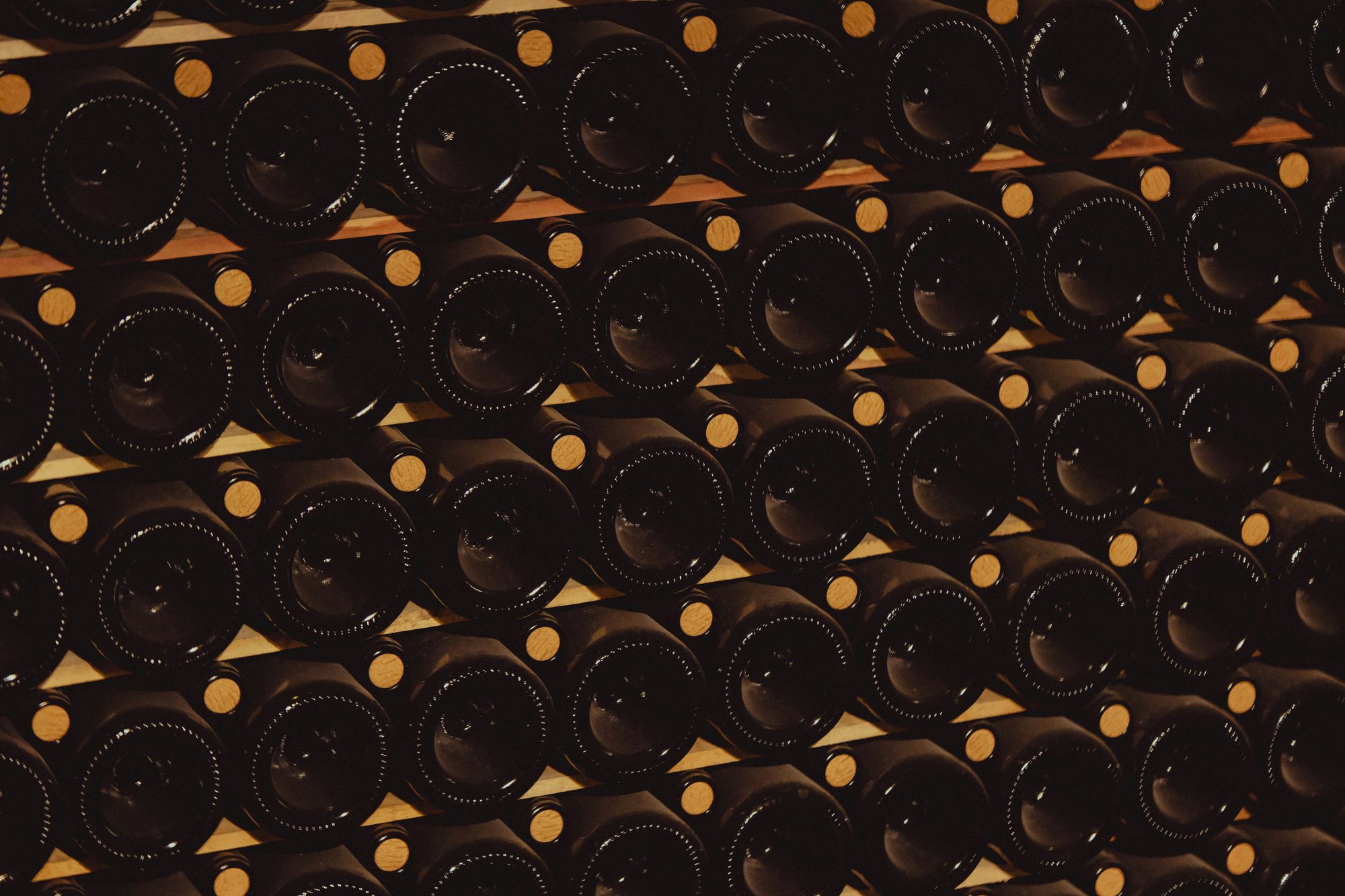 Cellar wall: rows of bottles on wooden battens