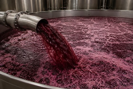 Remontaje: vino cayendo sobre el sombrero en el tanque