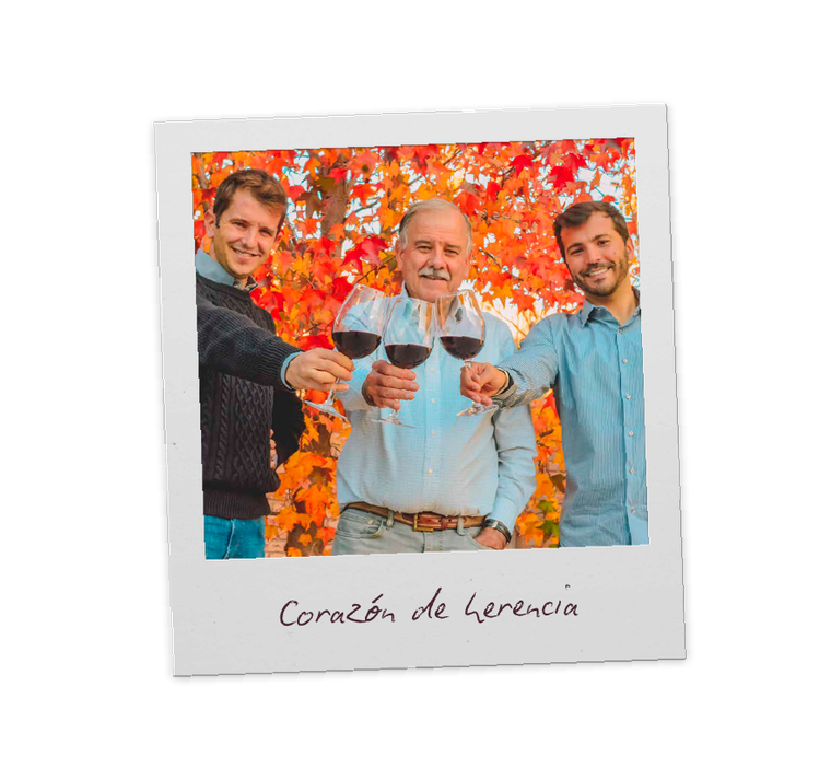 Three generations of the family toasting in the vineyard
